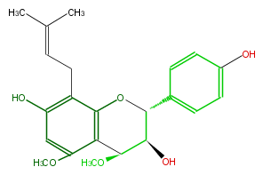FL6DDANI0002.png