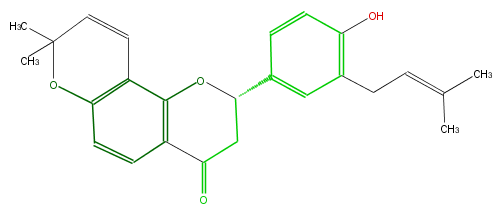 FL2F1ANP0009.png
