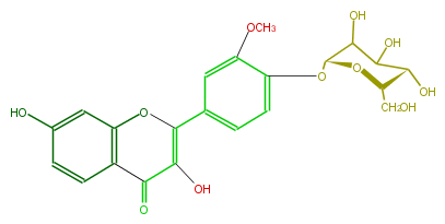 FL5F1CGS0004.png