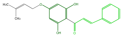 FL1CA9NI0005.png