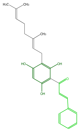FL1CA9NI0007.png