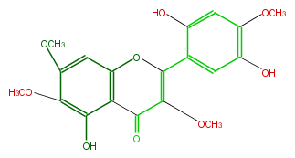 FL5FELNS0007.png