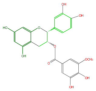 FL63ACNS0009.png