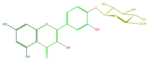 FL5FACGS0064.png