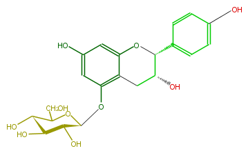 FL63AAGS0006.png
