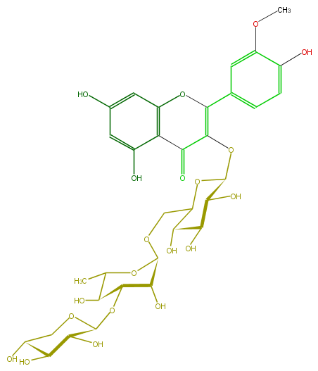 FL5FADGS0023.png