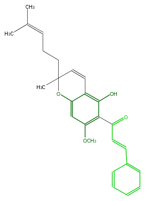 FL1CA9NP0008.png