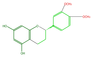 FL6FAFNS0001.png