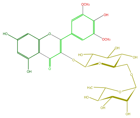 FL5FAIGL0002.png