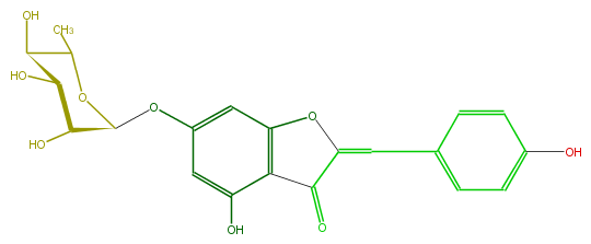 FL1AAAGS0001.png
