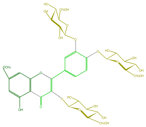 FL5FCCGL0004.png
