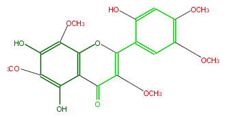 FL5FGLNS0010.png
