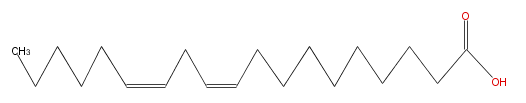 LBF19206SC01.png
