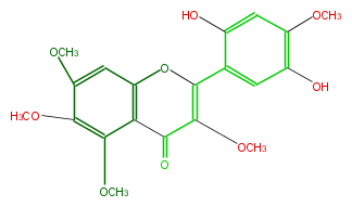 FL5FELNS0011.png