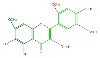 FL5FELNS0016.png