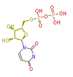 BMMCPYUR0015.png