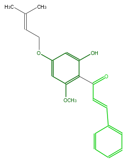 FL1CA9NI0006.png
