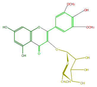 FL5FAIGA0001.png