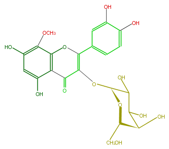 FL5FFCGA0004.png