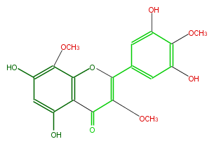 FL5FFGNS0003.png