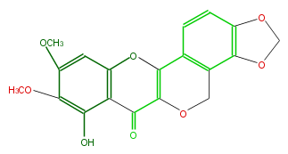 FL5FPTNS0008.png