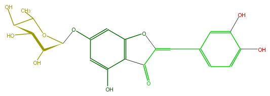 FL1AACGS0003.png