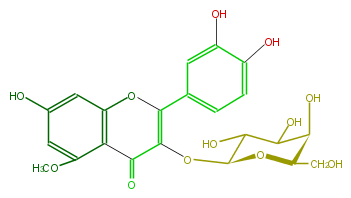 FL5FBCGA0001.png
