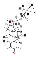 COX00073.png
