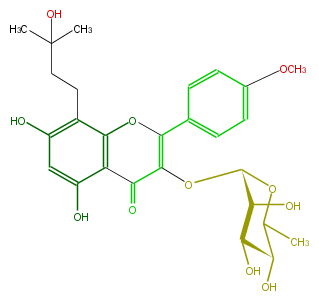 FL5FABGI0016.png