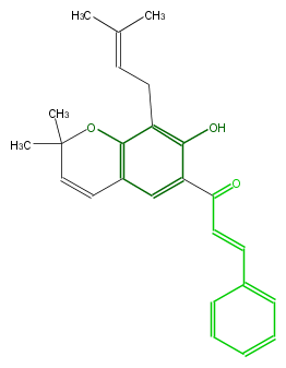 FL1C19NP0004.png