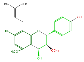 FL6DDANI0001.png
