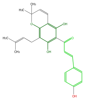 FL1CAANP0001.png