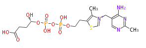 BMMCTZ--e010.png
