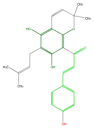 FL1CAANP0005.png