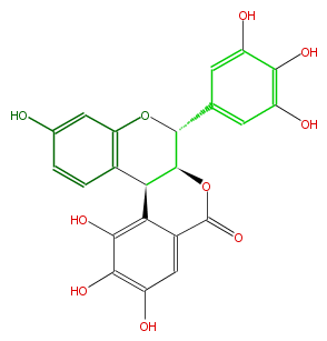 FL631GNC0001.png