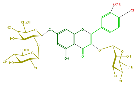 FL5FADGS0018.png