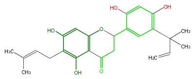 FL2FALNI0027.png