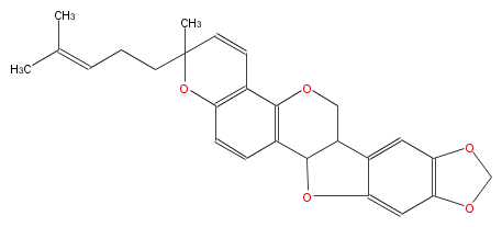 FLID1CNP0005.png