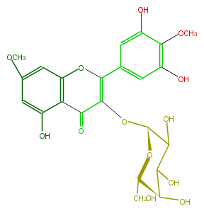 FL5FCJGA0001.png