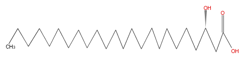 LBF24000HO01.png