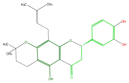 FL2FACNP0009.png