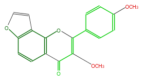 FL5F1ANF0001.png
