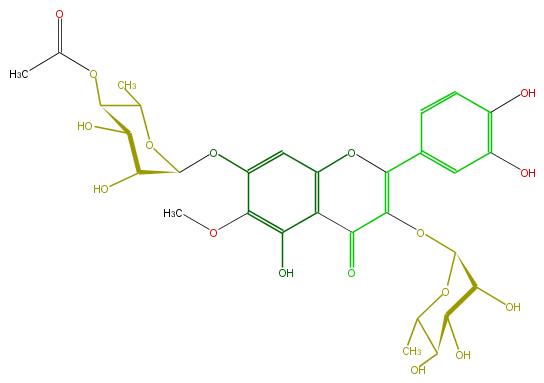 FL5FECGS0044.png