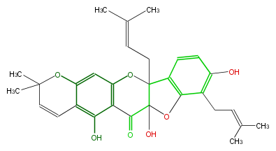 FL4DRNNP0002.png