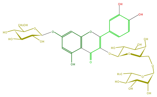 FL5FACGA0022.png