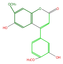 FLNA2CNS0001.png