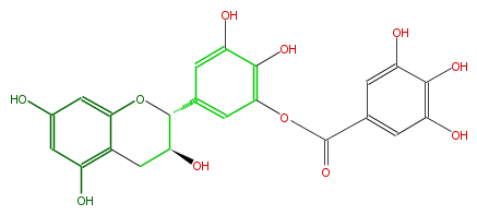 FL63AGNS0008.png