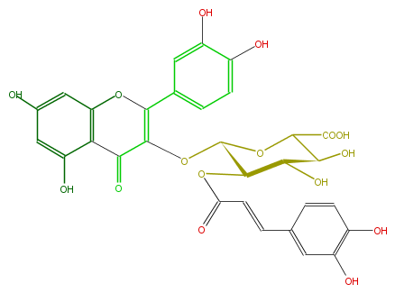FL5FACGS0052.png