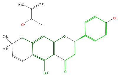 FL2FAANP0017.png