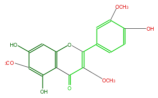 FL5FECNS0018.png